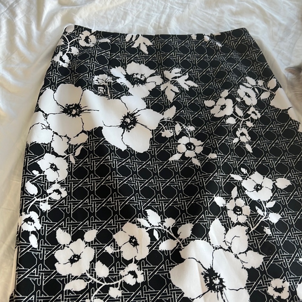 White House and Black Market